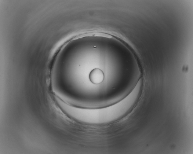 X0000110981510200906191352