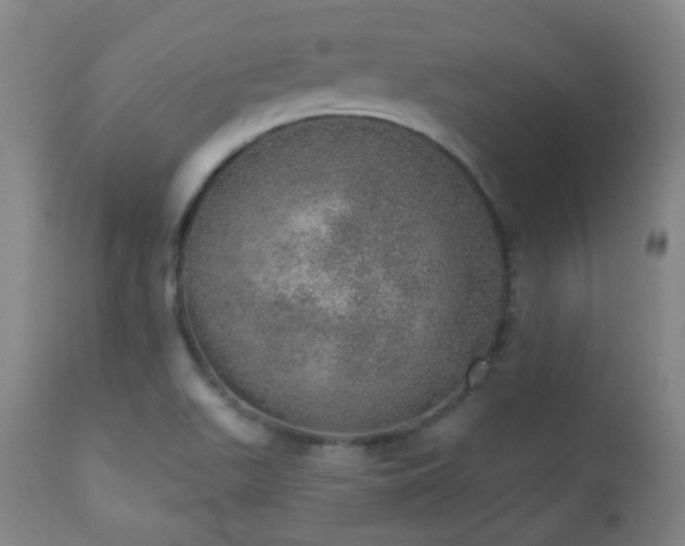 X0000110981511200906191352