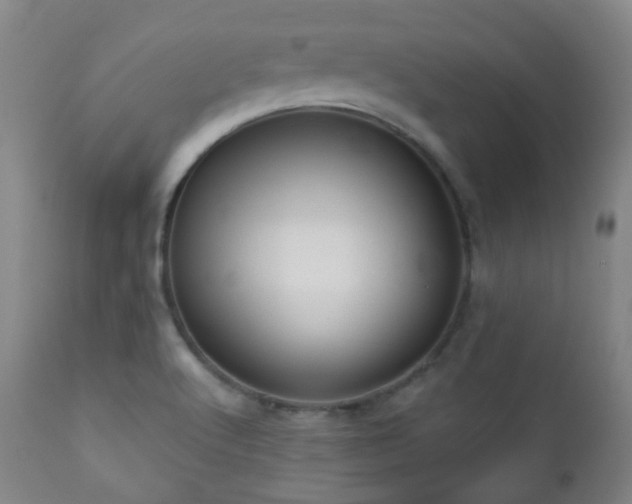 X0000110981512200906191352