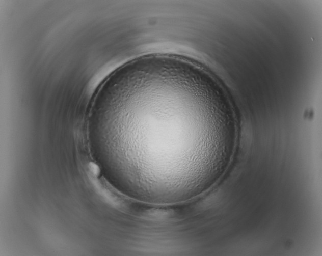 X0000110981513200906191352