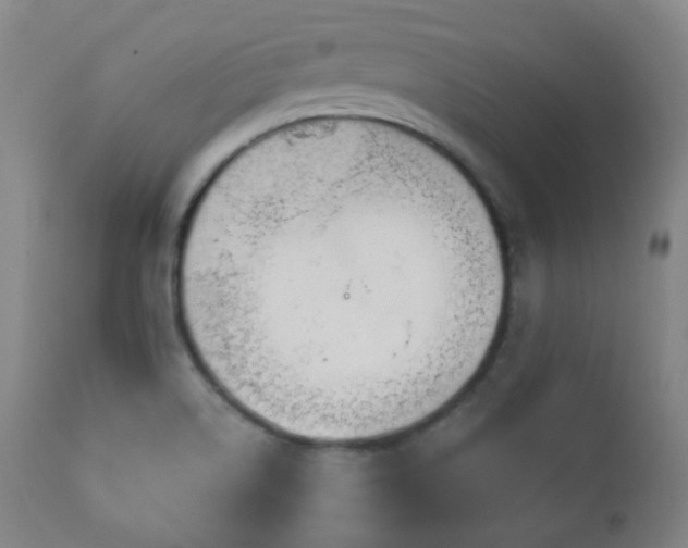 X0000110981514200906191352