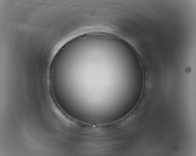 X0000110981516200906191352