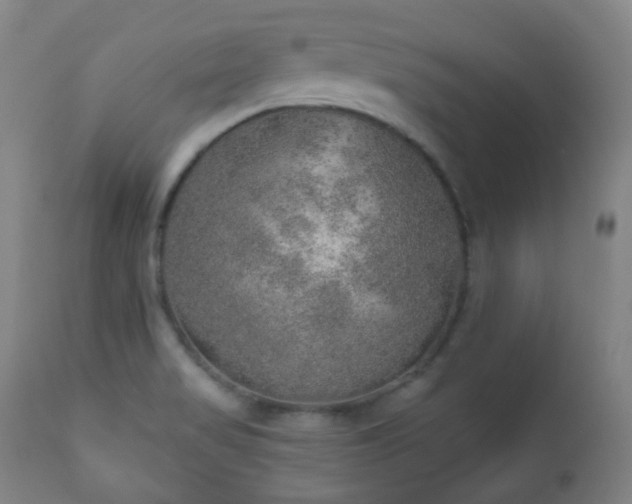 X0000110981517200906191352