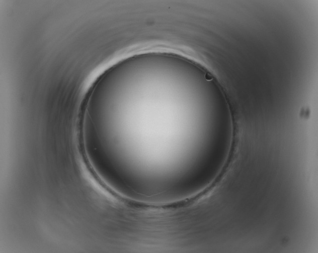 X0000110981518200906191352