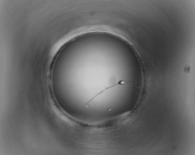 X0000110981519200906191352