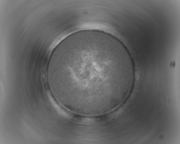 X0000110981521200906191352