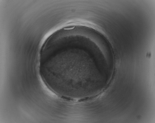 X0000110981522200906191352