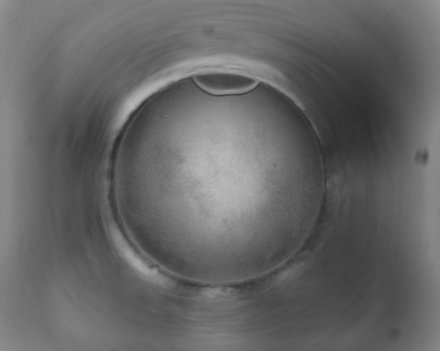 X0000110981523200906191352