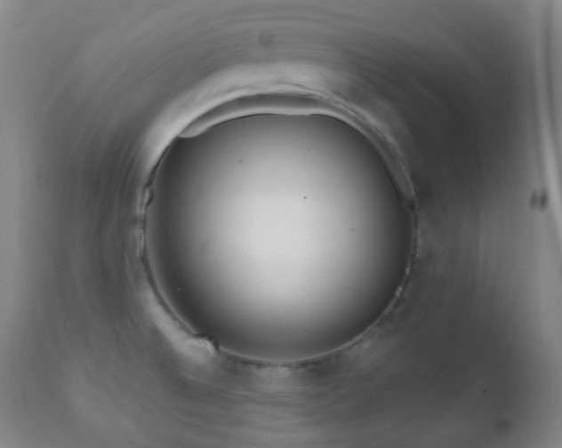 X0000110981524200906191352