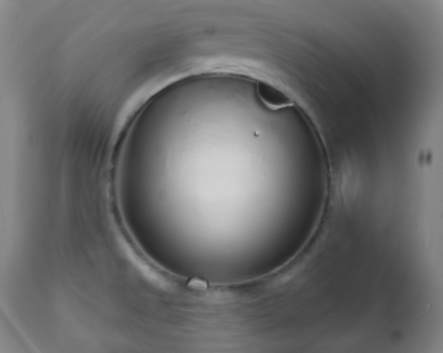 X0000110981525200906191352