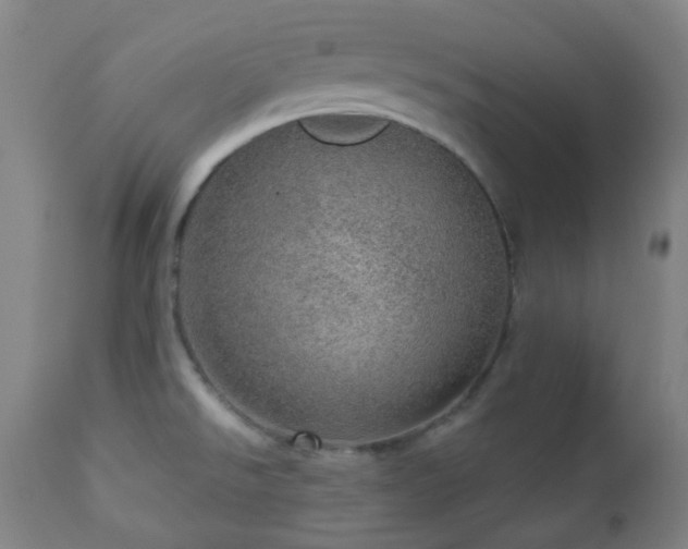 X0000110981526200906191352