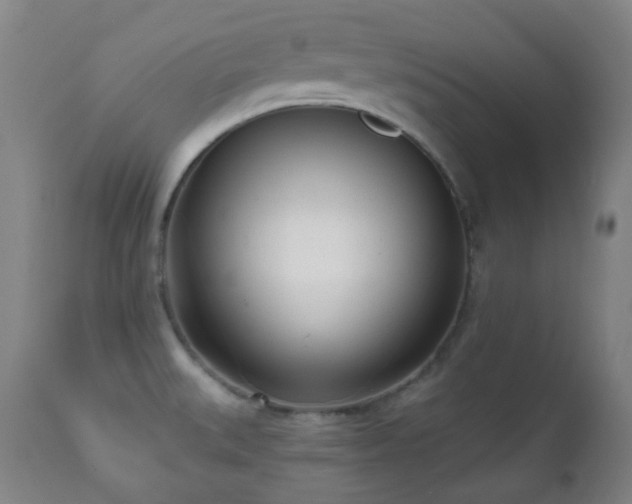 X0000110981527200906191352