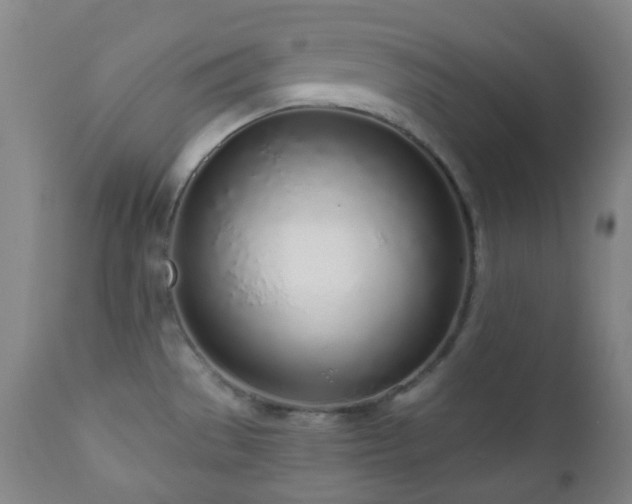 X0000110981529200906191352