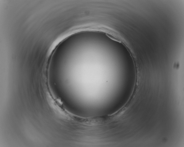 X0000110981530200906191352