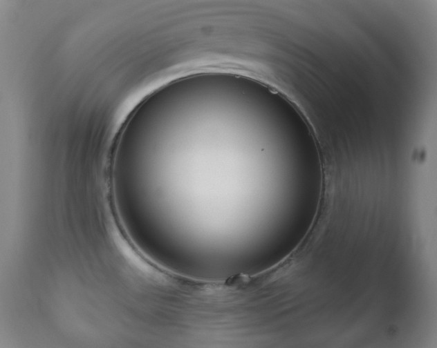 X0000110981531200906191352