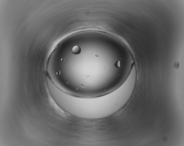 X0000110981532200906191352