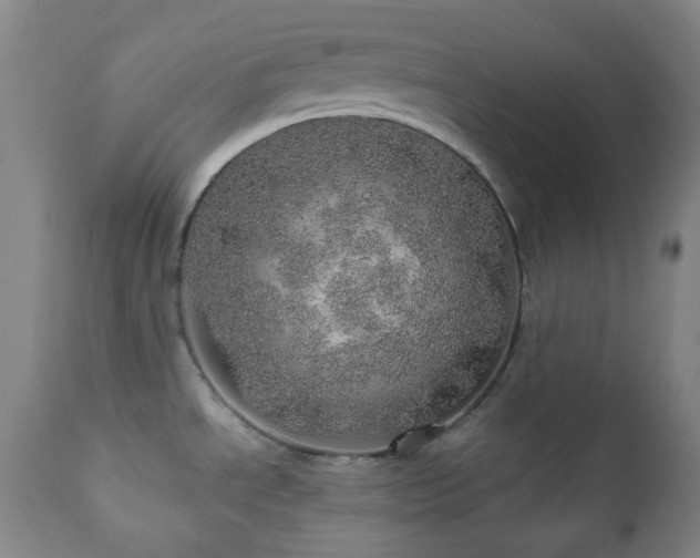 X0000110981534200906191352