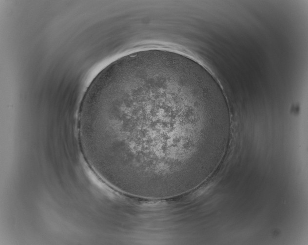 X0000110981535200906191352