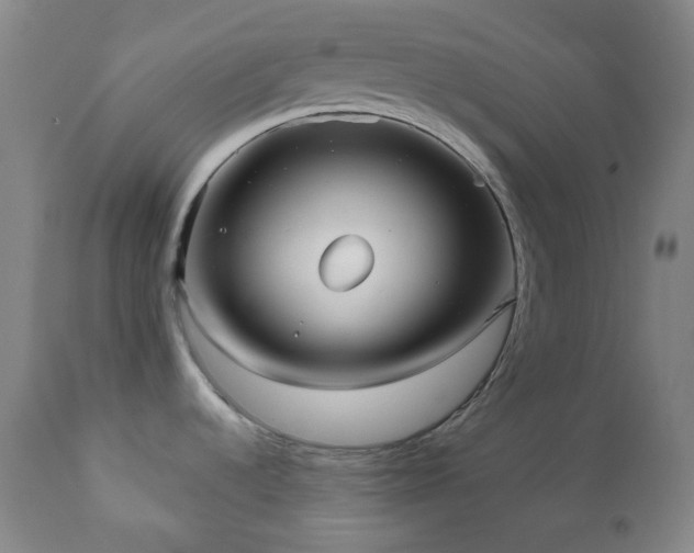 X0000110981536200906191352