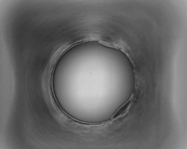 X0000110980001200906261438