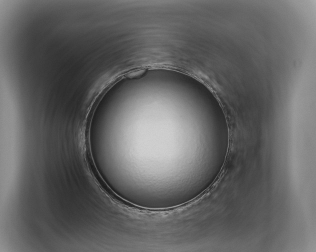 X0000110980002200906261438