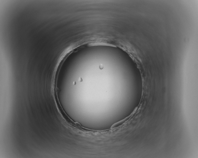 X0000110980003200906261438