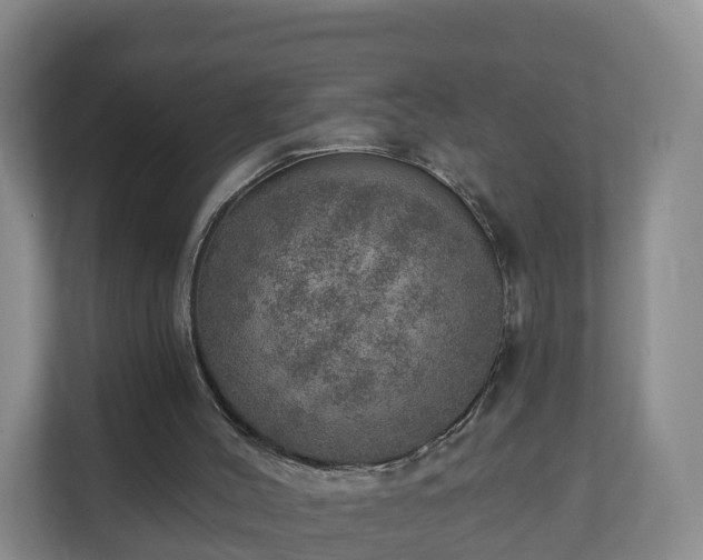 X0000110980004200906261438