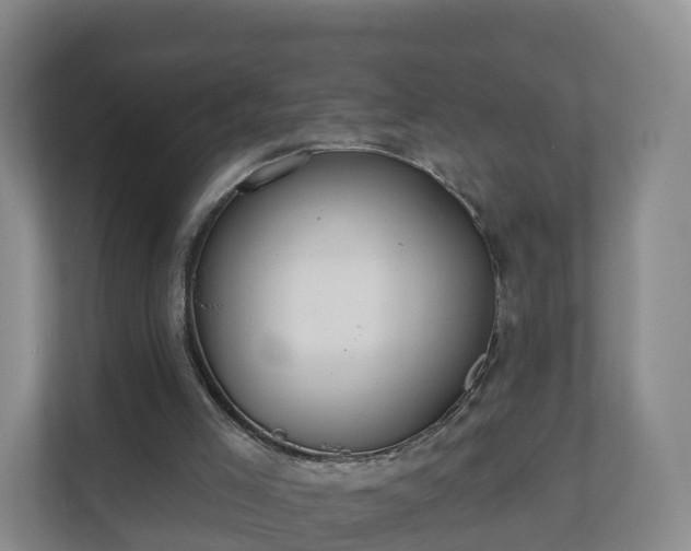 X0000110980005200906261438