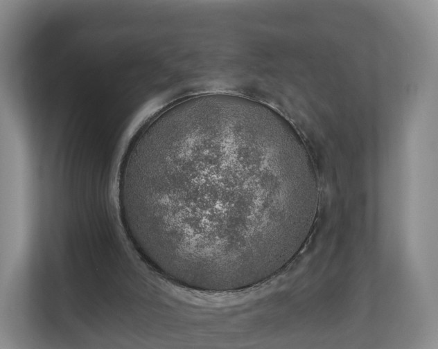 X0000110980006200906261438