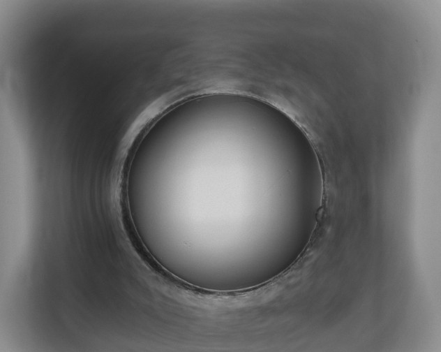 X0000110980007200906261438