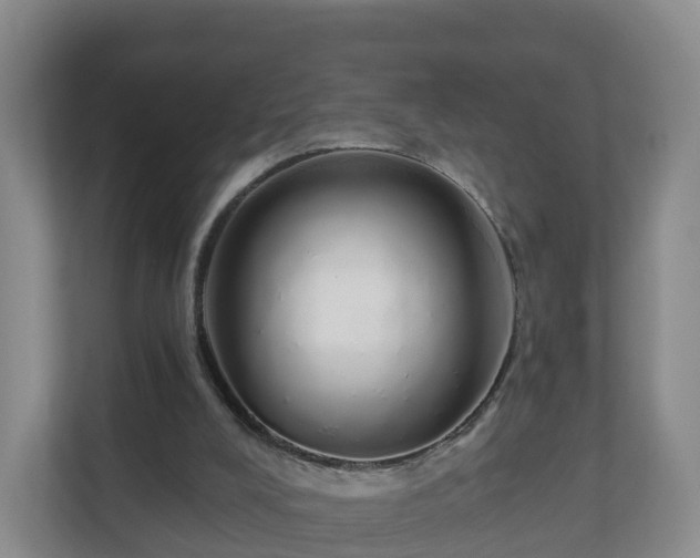 X0000110980008200906261438