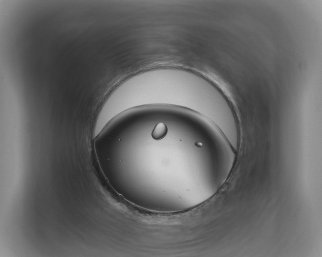 X0000110980009200906261438