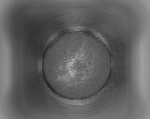 X0000110980010200906261438