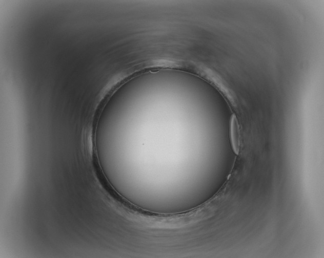 X0000110980011200906261438