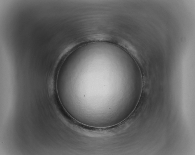 X0000110980012200906261438