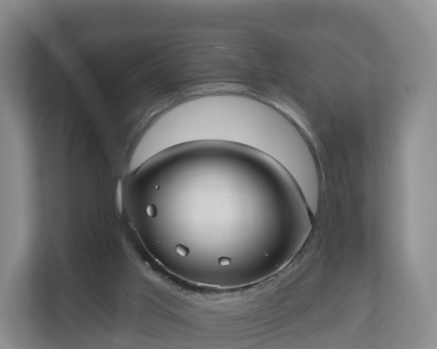 X0000110980013200906261438