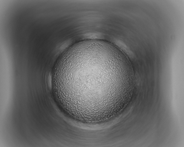 X0000110980014200906261438