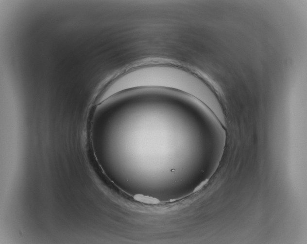 X0000110980015200906261438