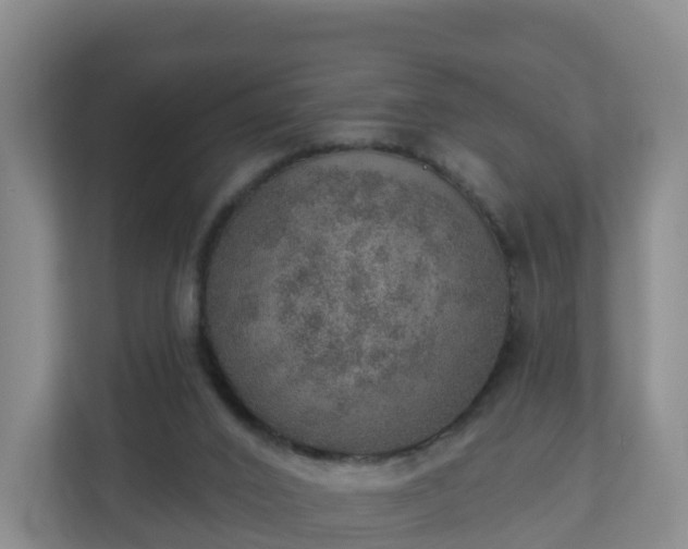 X0000110980016200906261438