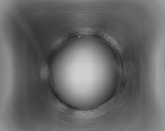 X0000110980017200906261438