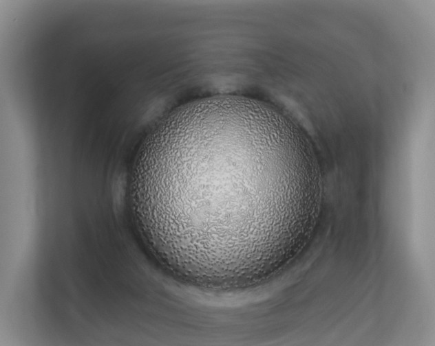 X0000110980018200906261438