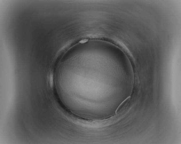 X0000110980019200906261438