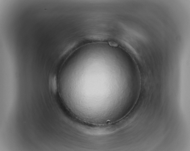 X0000110980020200906261438