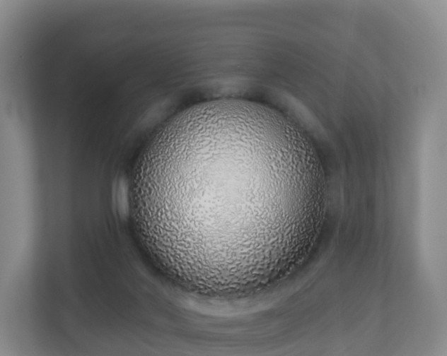 X0000110980022200906261438