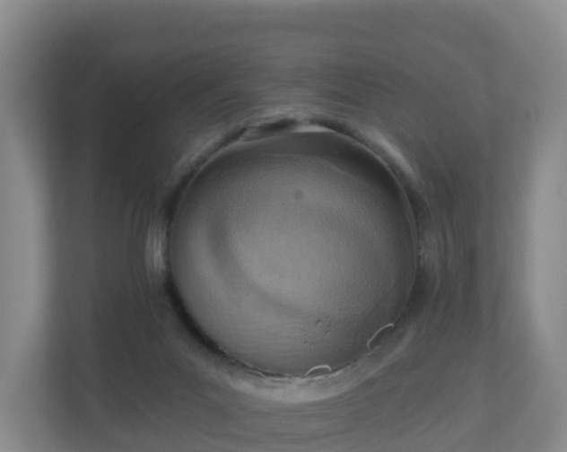 X0000110980023200906261438