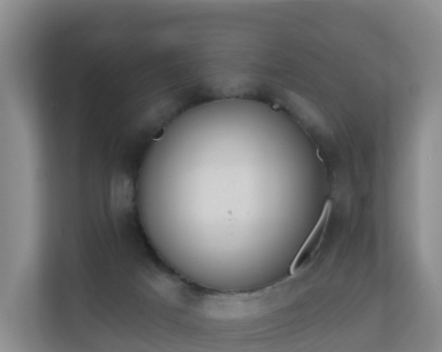 X0000110980025200906261438