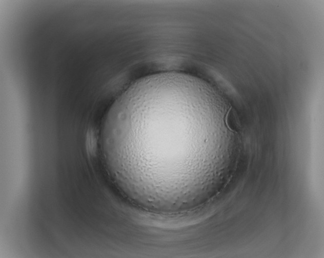 X0000110980026200906261438