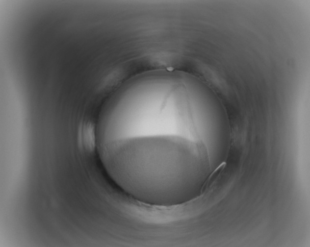 X0000110980027200906261438