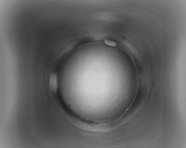 X0000110980028200906261438