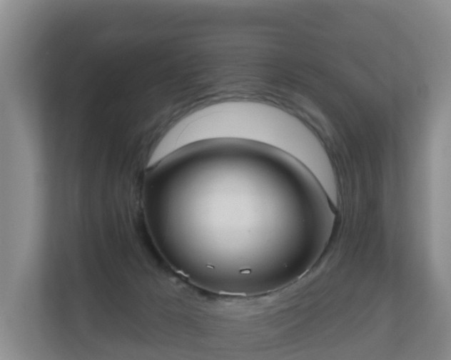 X0000110980029200906261438